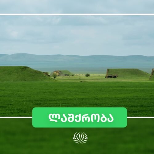 შირაქის აეროდრომი, არწივის ხეობა, ხორნაბუჯი